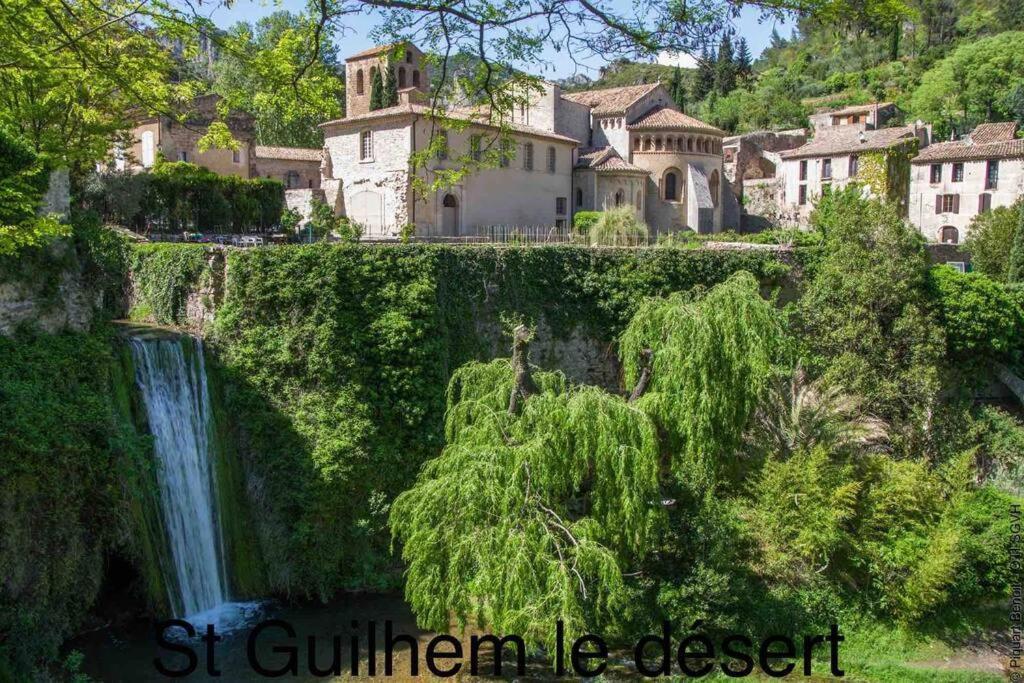 Charmante Cave Voutee 4 Personnes Saint-Jean-de-Fos Bagian luar foto